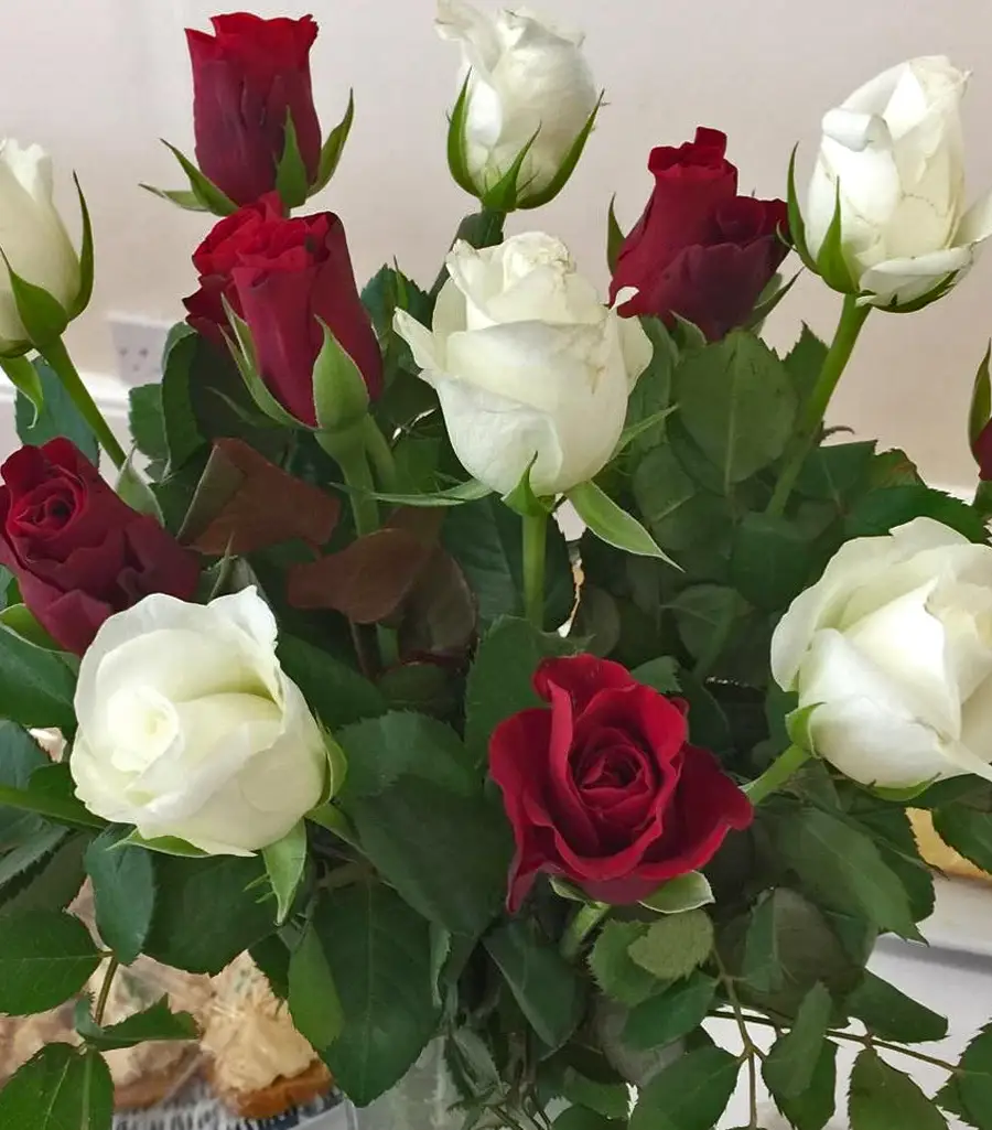 A table vase of red and white roses
